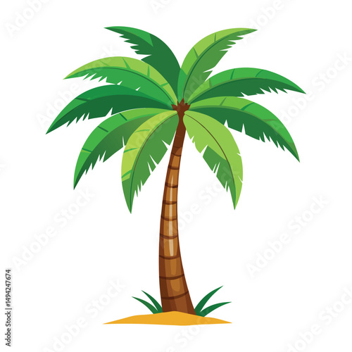 plant coconut tree color vector tree