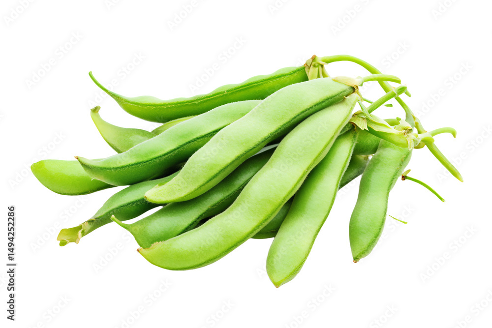a bunch of green beans on a white background a bunch of green beans on a white background