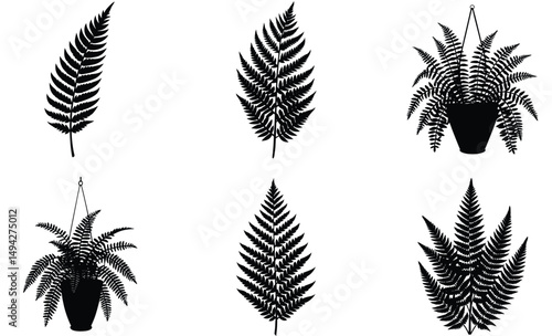 Boston Fern Silhouette Set – Vector Collection of Lush Boston Fern Leaves for Indoor Botanical and Decorative Design Projects