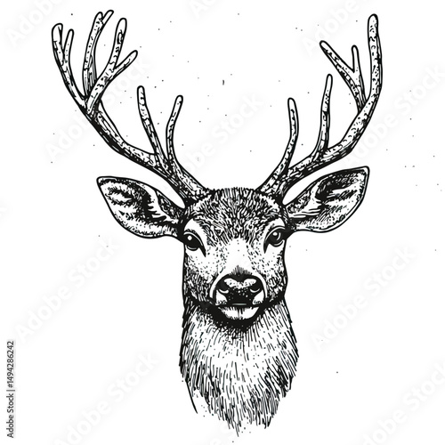 deer clip art