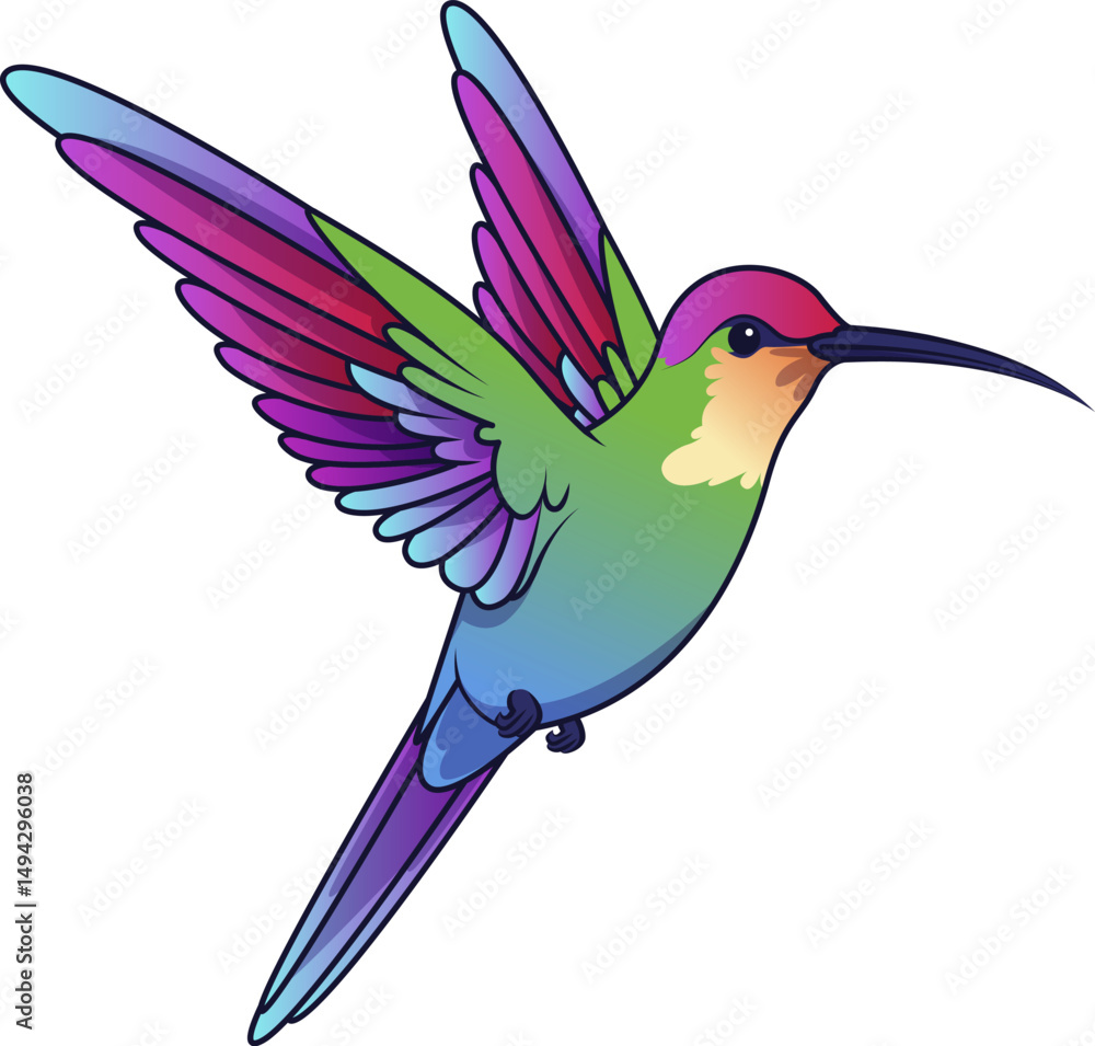 Obraz premium Hummingbird Vector Illustration