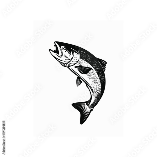 Brown Trout Vector Illustration

