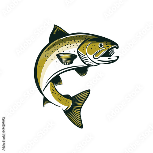 Brown Trout Vector Illustration

