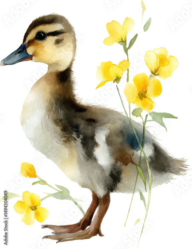 duckling in the grass