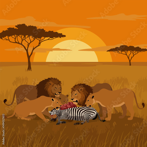 Lions Eating Zebra Prey in African Savannah at Sunset Illustration