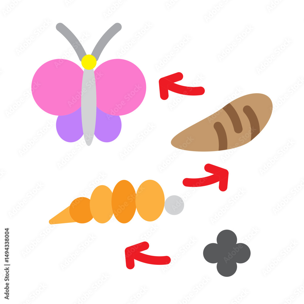 Fototapeta premium Butterfly Metamorphosis Vector Flat Icon Design