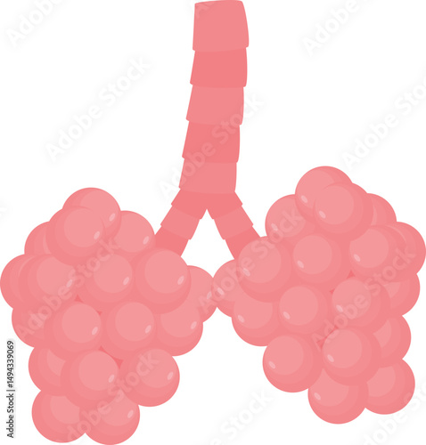 Illustration of Human Lungs and Alveoli