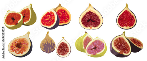 Set of  Fig cut open Flat Vector Illustration on Transparent Background