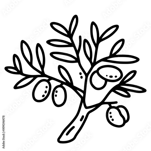A line drawing illustration of an olive branch with olives.