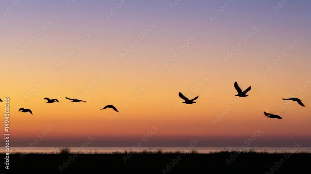 Flock of birds flying in formation during a vibrant sunrise sky  