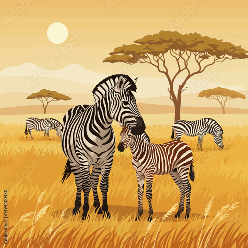 Zebra Family Grazing in Savannah Landscape Under Golden Sky