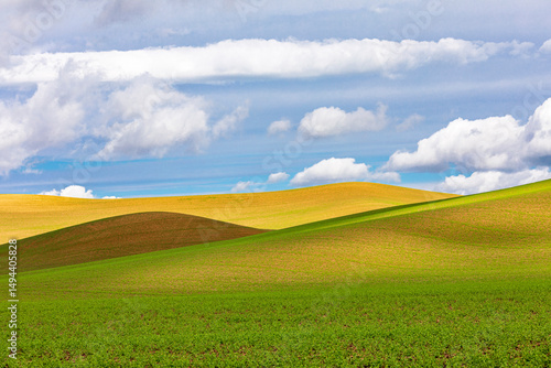 USA, Washington State, Eastern Washington,  Palouse Region. Pullman Rolling fields of wheat.