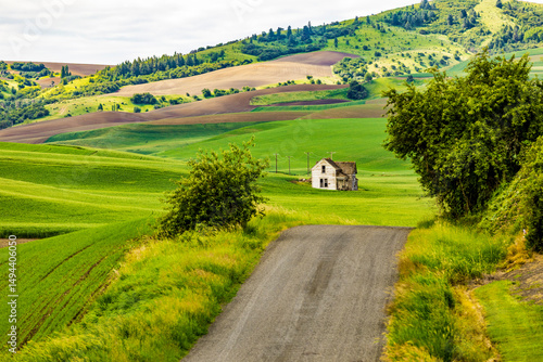 Photos USA, Washington State, Eastern Washington,  Palouse Region