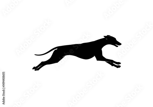 Silhouetted Greyhound in Full Sprint