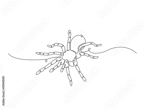 Tarantula spider single outline illustration. Continuous line art drawing of wild spider. Editable stroke.