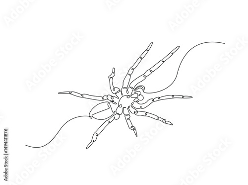 Tarantula spider single outline illustration. Continuous line art drawing of wild spider. Editable stroke.