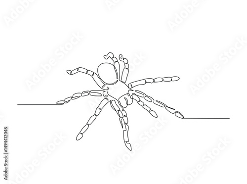 Tarantula spider single outline illustration. Continuous line art drawing of wild spider. Editable stroke.