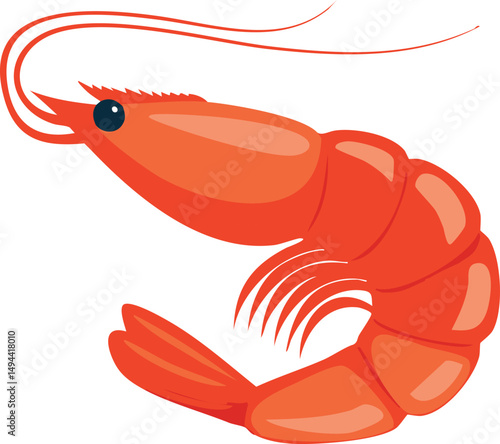 vector illustration of shrimp
