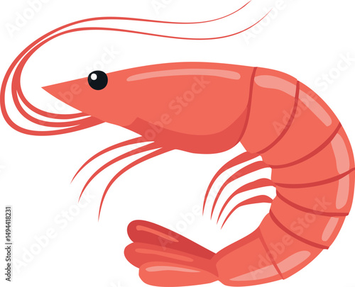 vector illustration of shrimp