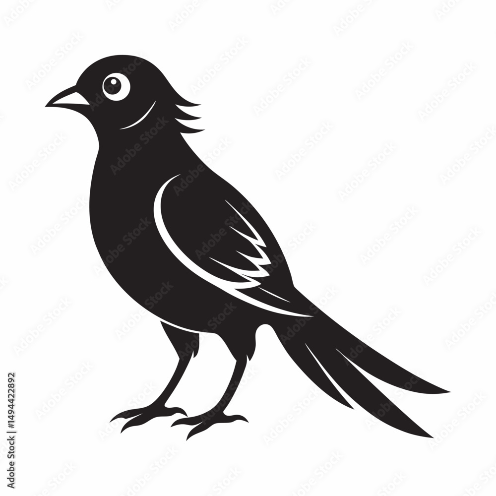 Obraz premium Cuckoo vector and illustration silhouette.