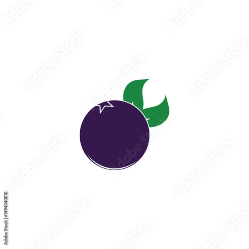 blueberry logo and vector template