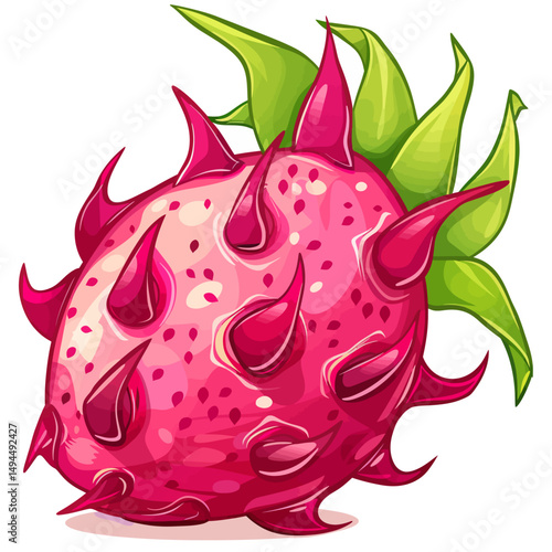 Dragon fruit illustration 