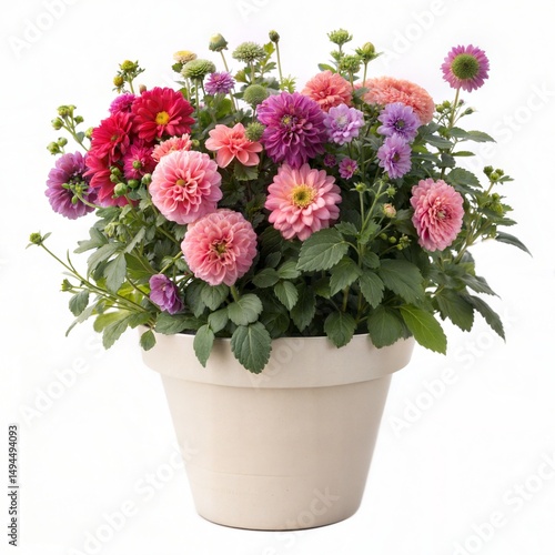 Wallpaper Mural flower pot with lush flowers on a white background Torontodigital.ca