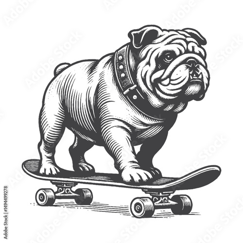 Vintage Hand-Drawn Bulldog Skateboarding Illustration – Urban Dog Engraved Style Vector for T-Shirts, Posters, Stickers, and Street Style Pet Themes Apparel