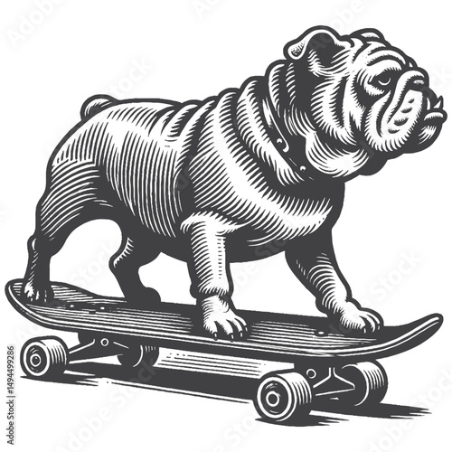 Vintage Hand-Drawn Bulldog Skateboarding Illustration – Urban Dog Engraved Style Vector for T-Shirts, Posters, Stickers, and Street Style Pet Themes Apparel