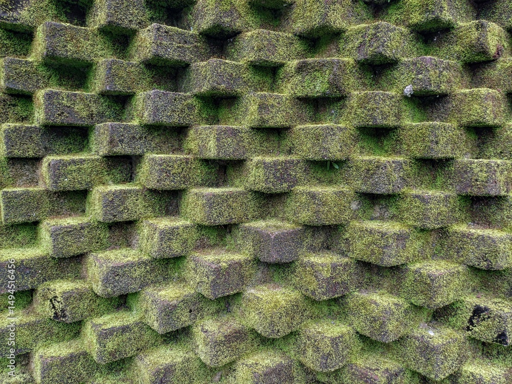 Fototapeta premium Mossy brick wall for background and design