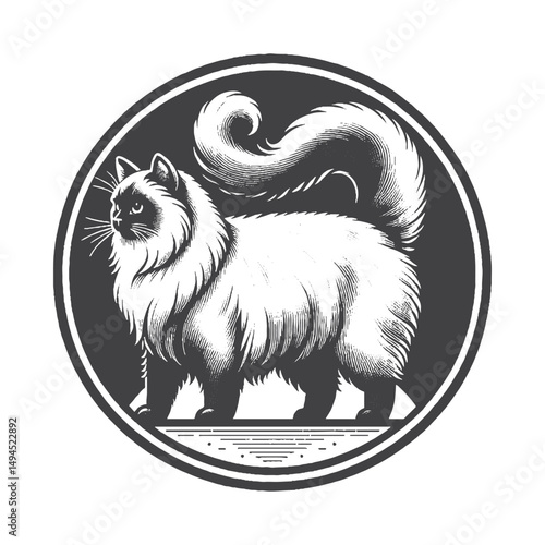 Vintage Hand-Drawn Ragdoll Cat Standing Illustration – Elegant Feline Engraved Style Vector for T-Shirts, Posters, Stickers, and Pet Lover Apparel