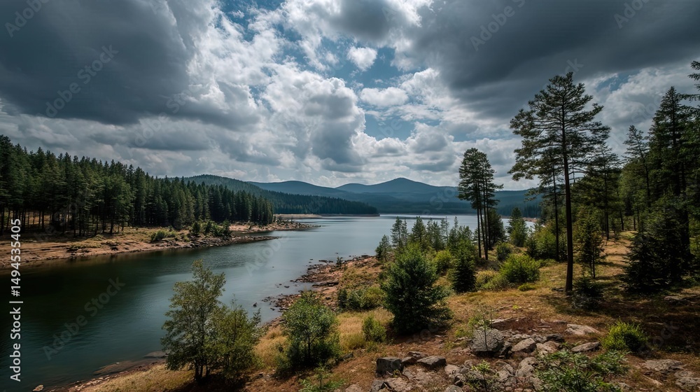 Naklejka premium Scenic view of lake in pine forest with water and mountain concept. A serene view of a lake surrounded by lush green trees.