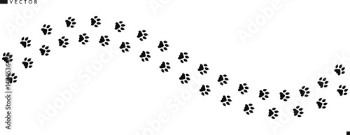 Paw prints 