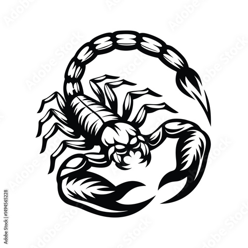 Detailed Black and White Scorpion Illustration, Isolated on White Background, Curled Body