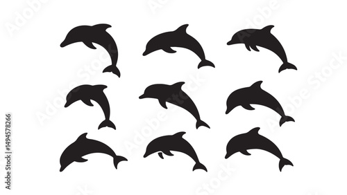 Unique Dolphin Poses Silhouette
