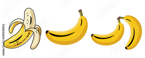 Fresh banana fruits set isolated on white background. Peeled banana and bunch of bananas. Tropical fruits, banana snack, vegetarian menu. Vector illustration, flat simple
