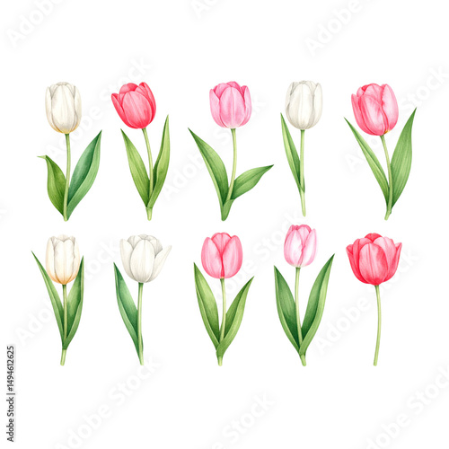 Wallpaper Mural A set bouquet of pink tulips Torontodigital.ca