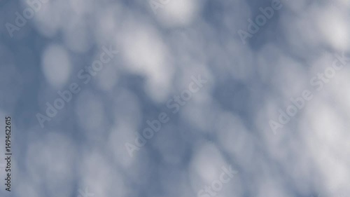 shadow overlay wall texture sunlight leaf shade abstract 3d render. shadows light nature plant leaves branch tree foliage design backdrop. wallpaper mockup background white effect minimal natural.