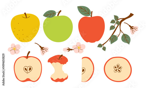 Whole apple and bitten red apple fruit icon vector. Red apples fruit icon set isolated on a white background . Hand drawn set of branch flower and various type of apple fruit .