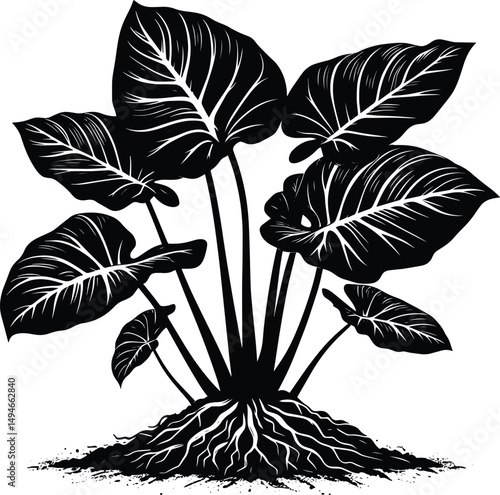 Caladium Tropical Plant landscape element vector illustration isolated on a white background