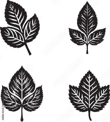 Black and White Leaf Illustrations