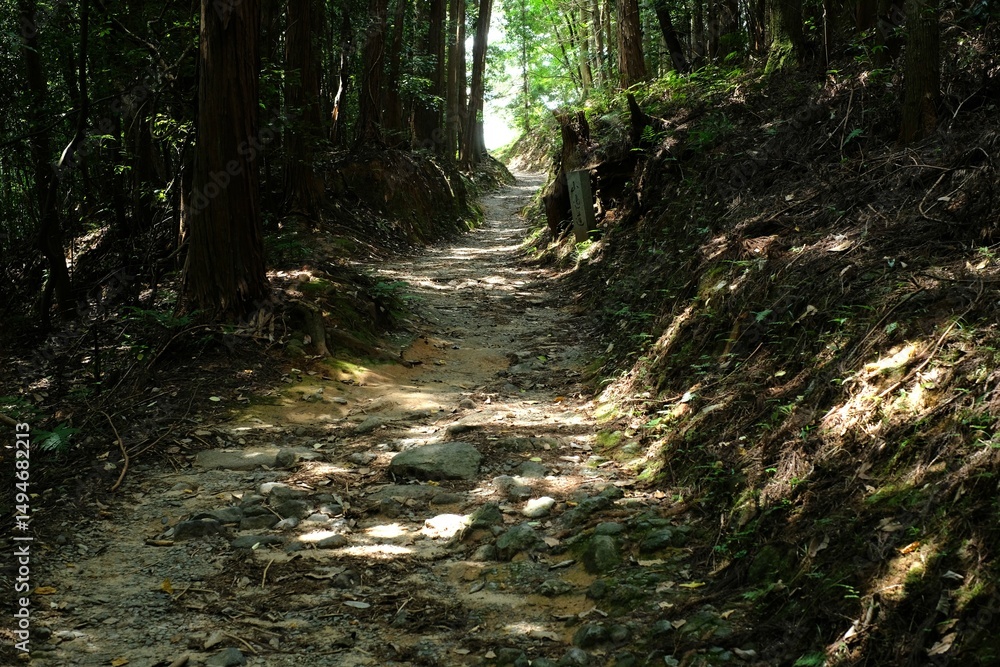 Fototapeta premium The Yamanobe trail from Omiwa Shrine to Hibara Shrine