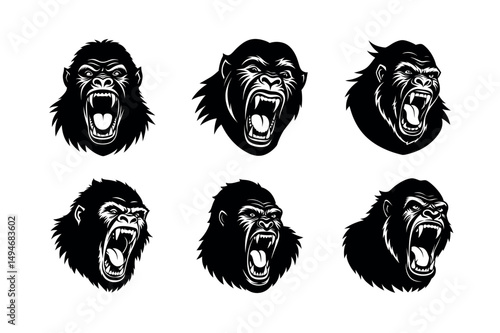 angry gorilla screaming face on white background