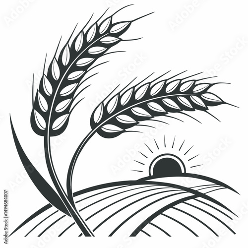Stylized wheat ears silhouette over fields with rising sun vector illustration