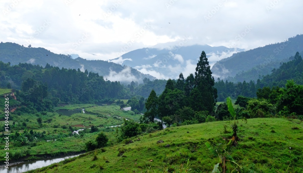 Fototapeta premium Serene mountain valley shrouded in mist showcasing natural beauty landscape