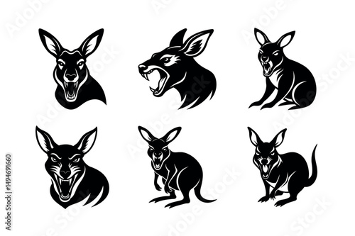 furious wallaby expression