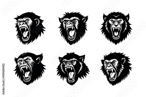 raging baboon expression