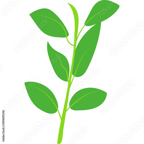 Green Tea Leaves