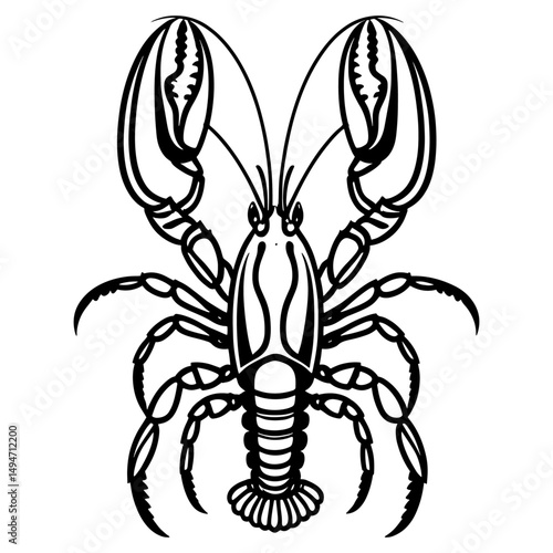 Lobsters line art. Lobsters fish coloring pages for coloring book.Black and White Lobster Illustration Detailed Line Art for Seafood Designs.a coloring page of an spiny lobster with no color.