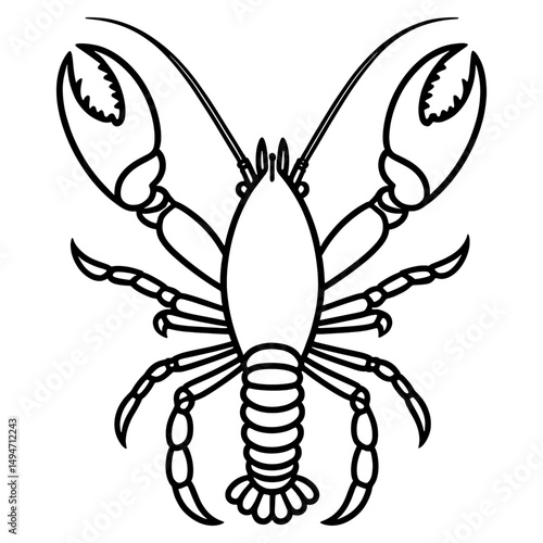 Lobsters line art. Lobsters fish coloring pages for coloring book.Black and White Lobster Illustration Detailed Line Art for Seafood Designs.a coloring page of an spiny lobster with no color.